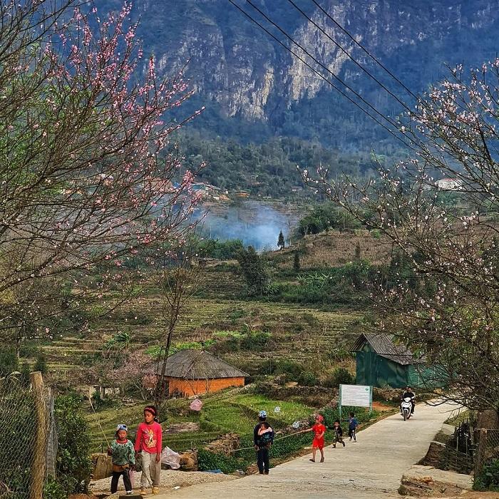 Choản Thèn Peak (Y Tý) Experience