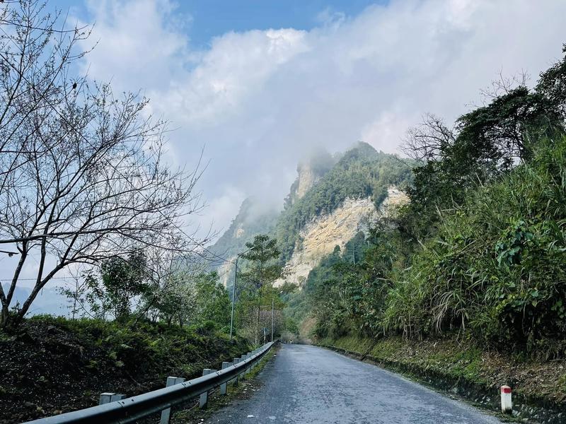 https://files.locallife.asia/images/800/1777256989903-dao7_66860094.jpg