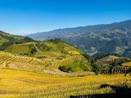 https://files.locallife.asia/images/800/1777259527485-images.jpg