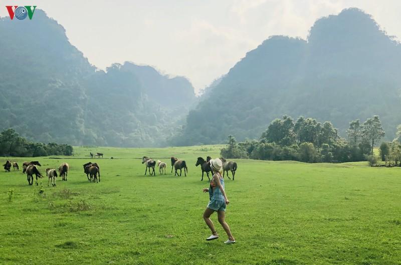 https://files.locallife.asia/images/800/1777278256940-20.5.Kham_pha_thao_nguyen_Dong_Lam.jpg