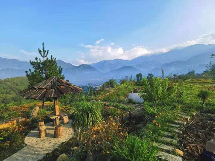 https://files.locallife.asia/images/800/1777279795378-Homestay.jpg