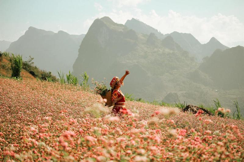 https://files.locallife.asia/images/800/1777281091259-lang-co-thien-huong-ha-giang-8.jpg