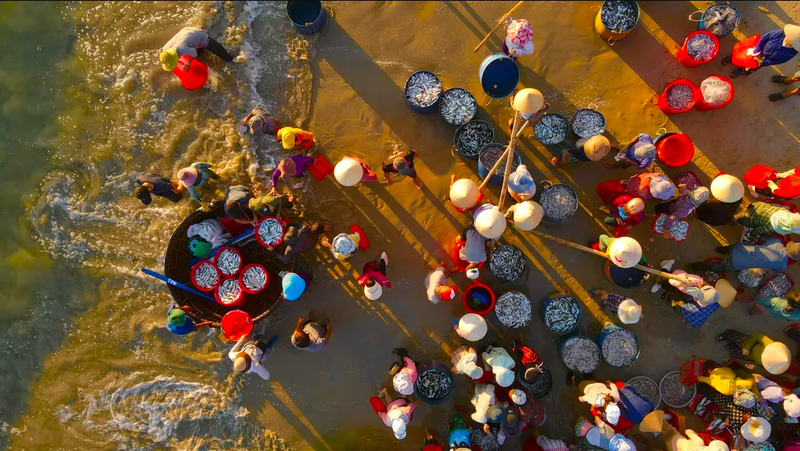 Tam Tien Fish Market (Tam Tien, Quang Nam) (1)
