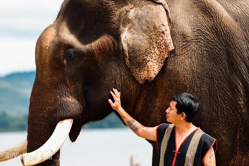 Elephant Bathing Experience in Buon Lak (6)