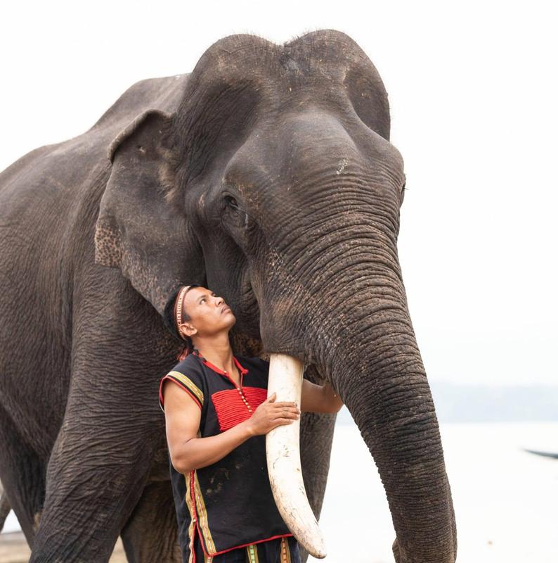 Elephant Bathing Experience in Buon Lak (3)