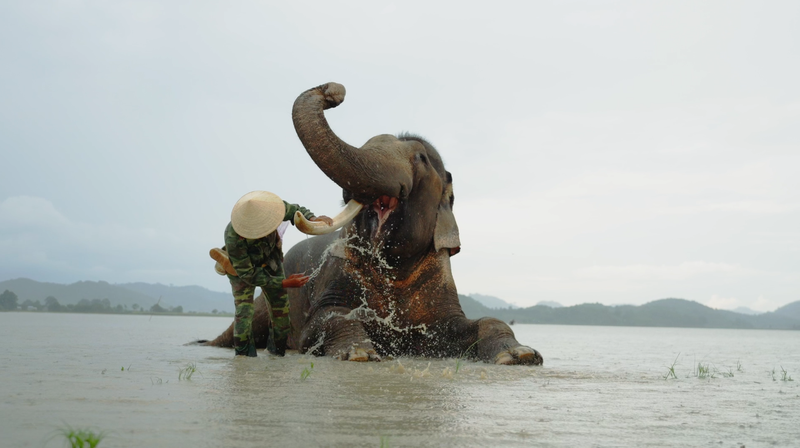 Elephant Bathing Experience in Buon Lak (5)