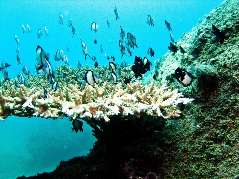 https://files.locallife.asia/images/800/1791708683145-9ba217ce-efa4-48b9-8747-b25b6bff1bd1-04.jpg