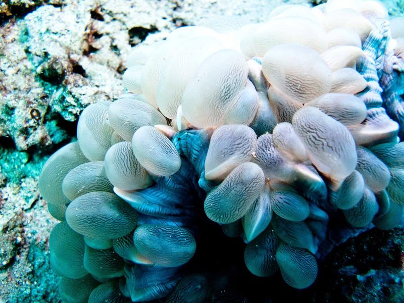 https://files.locallife.asia/images/800/1791708708659-1d1a630b-a8c0-448e-a733-d7293164c34b-01.jpg
