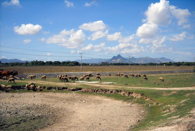https://files.locallife.asia/images/800/1791708726655-544493b7-1c5d-44a6-8d57-3089c64c505c-01.jpg