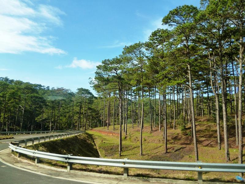 https://files.locallife.asia/images/800/1791708833117-e78d6f1e-8363-44b8-bd0a-8c9c59dd26e6-04.jpg