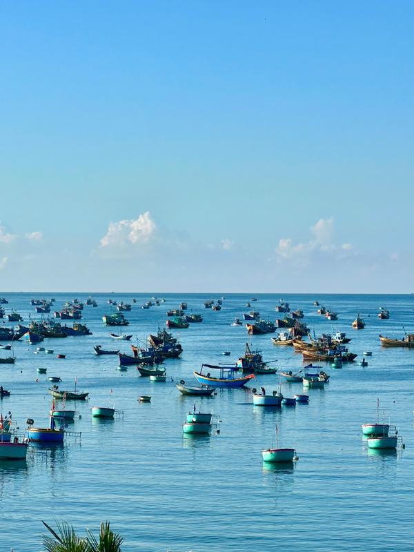 https://files.locallife.asia/images/800/1792140162075-b5375f37-46c7-499f-9695-21de8193885f-f3d19e097519f547ac08.jpg