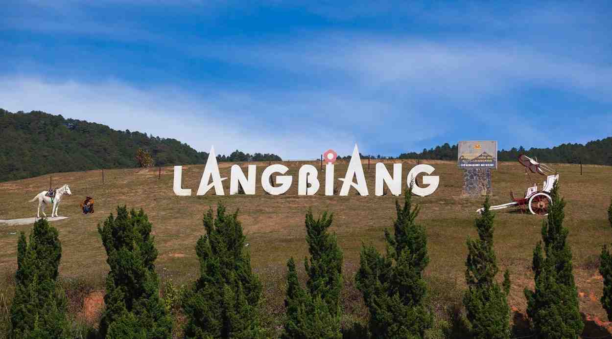 https://files.locallife.asia/provinces/lam-dong.jpg